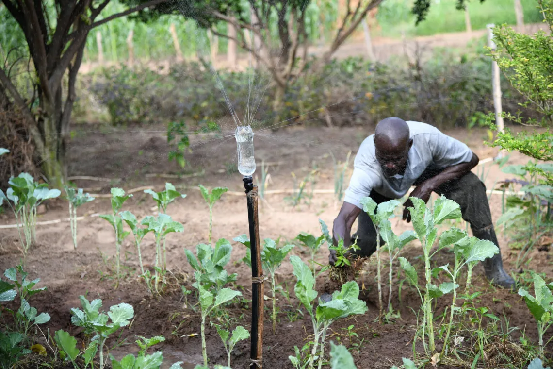 Irrigation