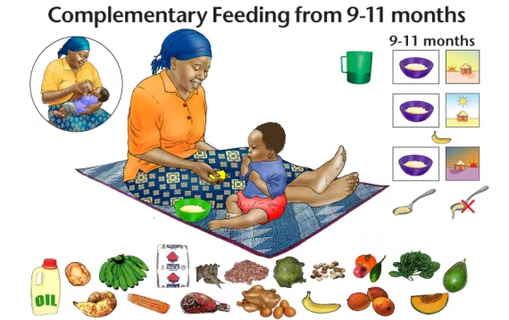 complementary feeding