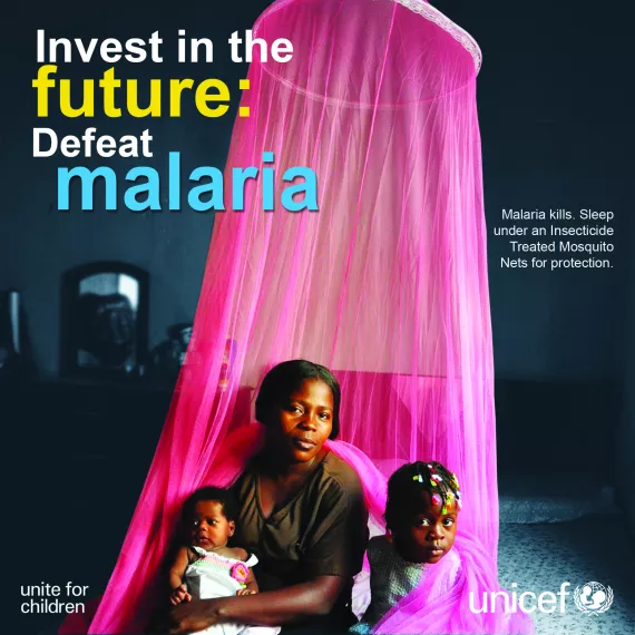 treated mosquito nets
