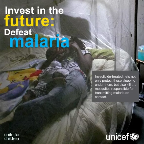 treated mosquito nets