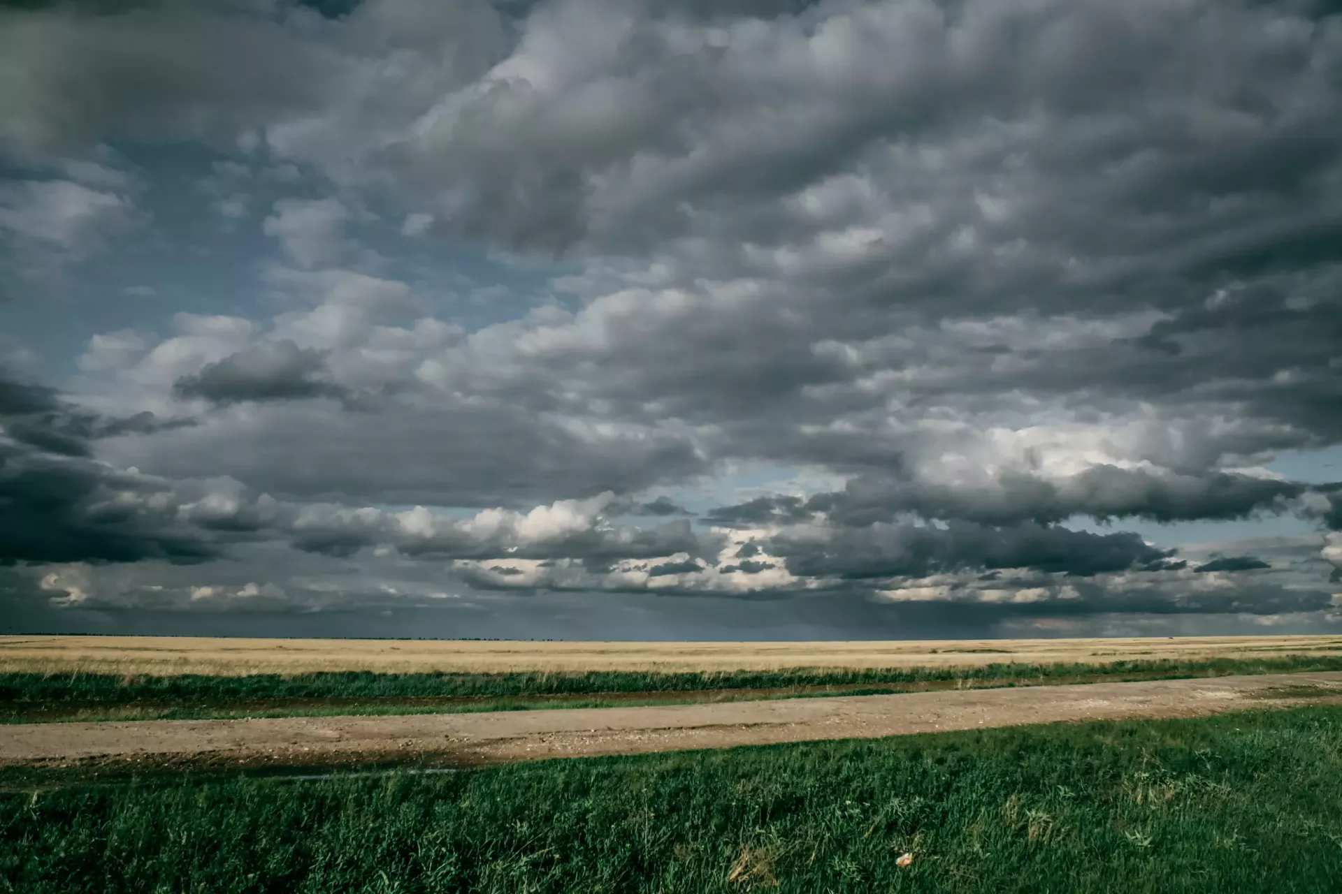 The wild steppe of Askania-Nova - the largest steppe reserve in Europe