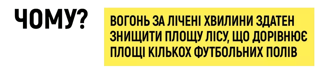 Чому? - Вогонь за лічені хвилини здатен знищити полосу лісу, що дорівнює площі кількох футбольних полів