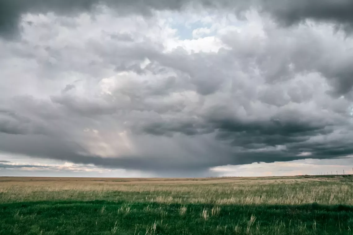A virgin steppe that has never been touched by a human plow