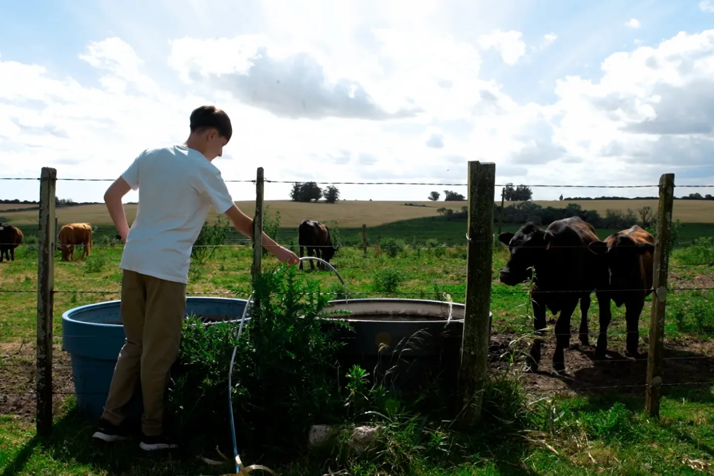 Felipe en el campo ya recuperado