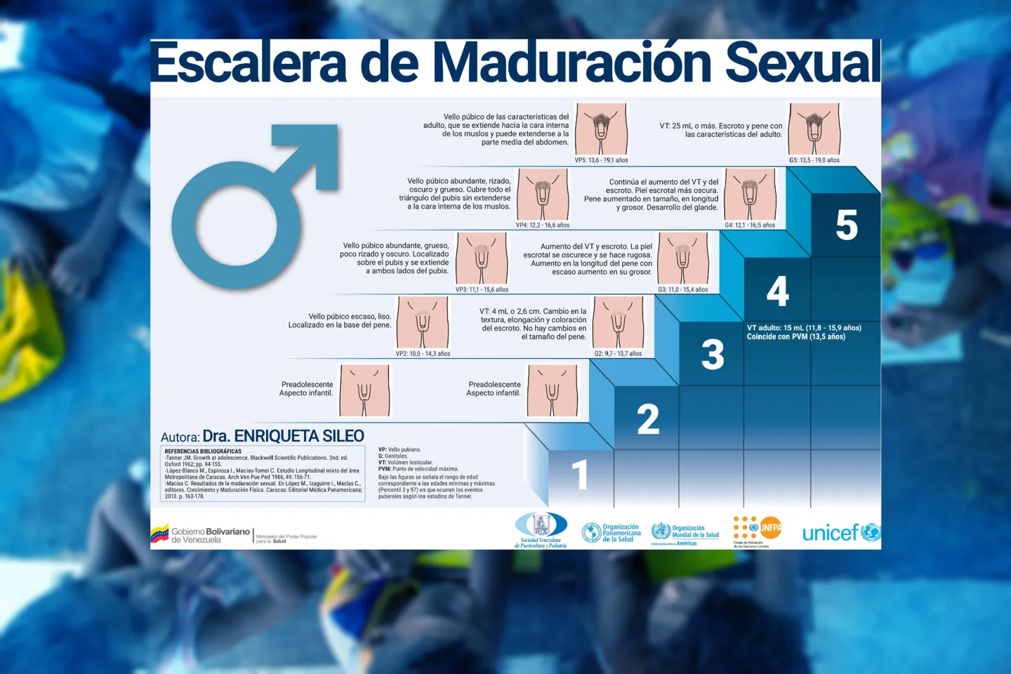 Escalera de Maduraci&oacute;n Sexual Masculino