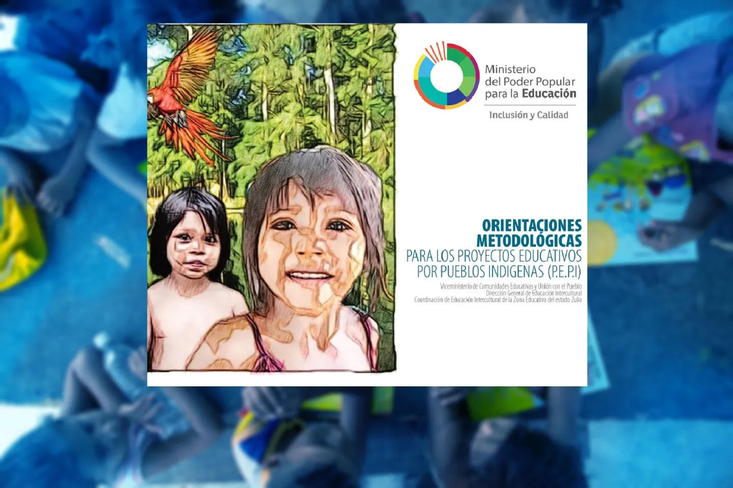 Orientaciones metodol&oacute;gicas para los proyectos educativos por pueblos ind&iacute;genas (P.E.P.I)