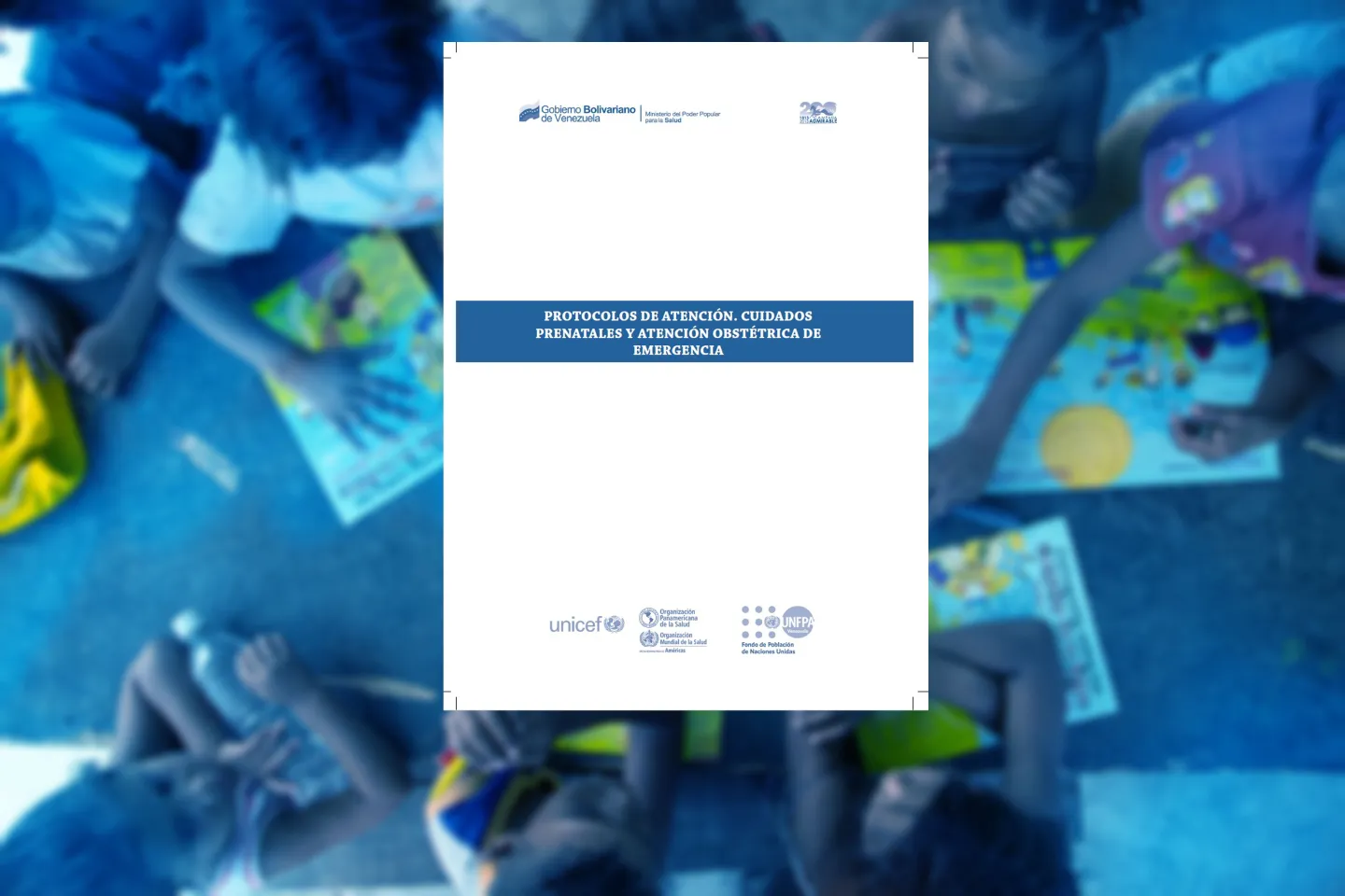 Protocolos de atenci&oacute;n. Cuidados prenatales y atenci&oacute;n obst&eacute;trica de emergencia