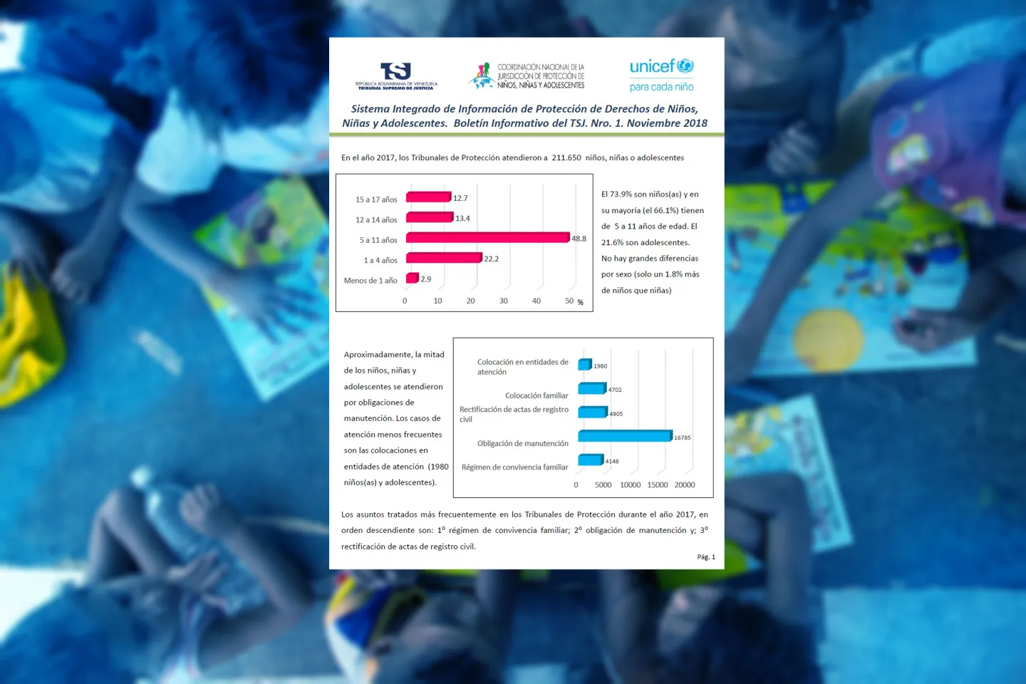 Sistema Integrado de Informaci&oacute;n de Protecci&oacute;n de Ni&ntilde;os Ni&ntilde;as y Adolescentes Bolet&iacute;n Informativo N1