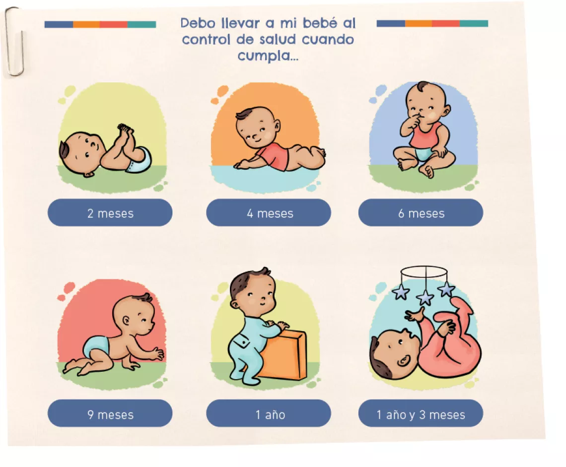Infograf&iacute;a sobre las veces que se debe llevar al beb&eacute; a consulta m&eacute;dica