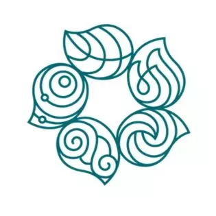 COP29 logo