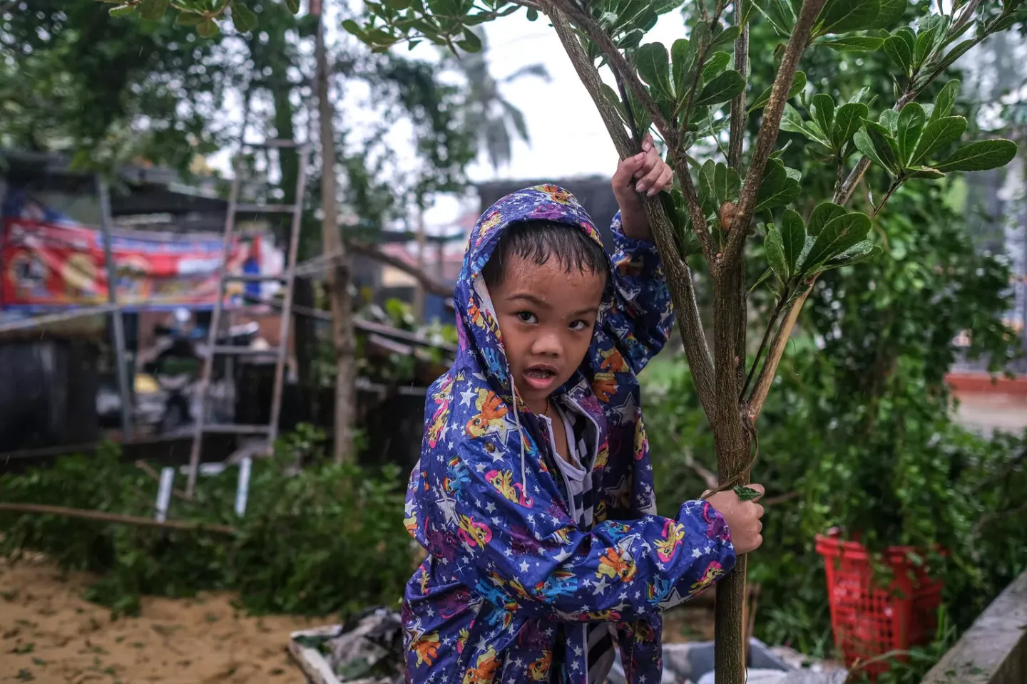 Em b&eacute; trai mặc &aacute;o mưa, giữ chặt c&acirc;y trong mưa lớn