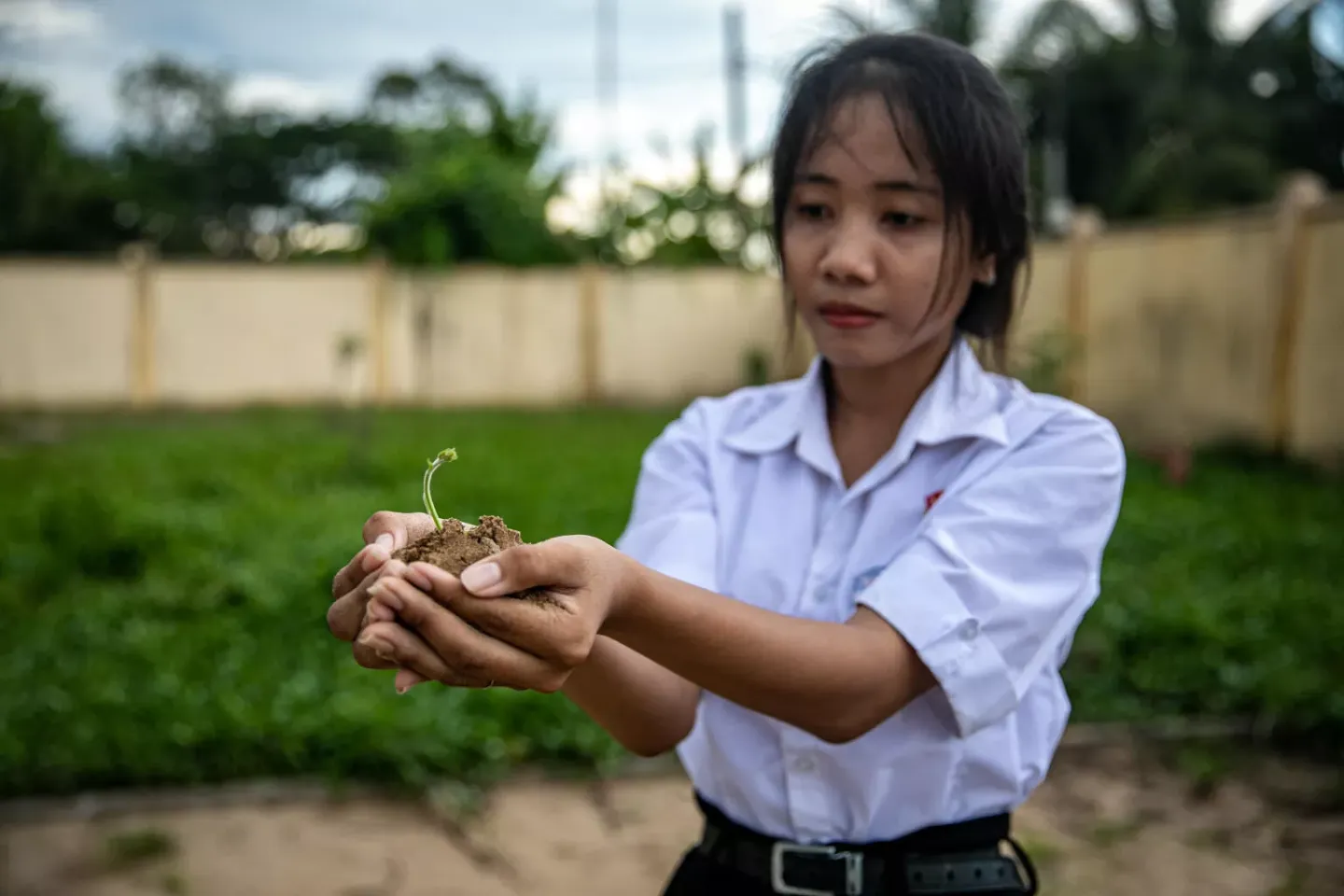 A girl holding a green sprout 
