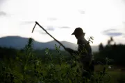 Lan stands in her field, which she has worked tirelessly to restore following the devastation of last year's flood.