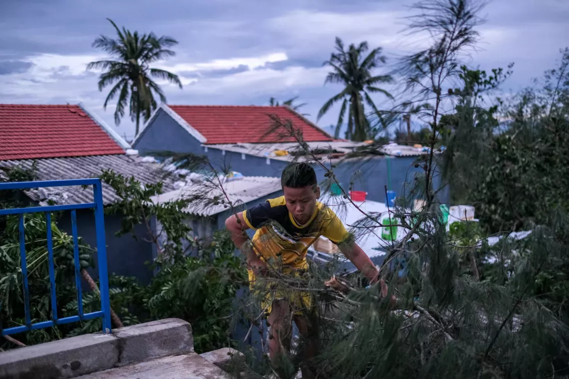 A boy collects tree branches 
