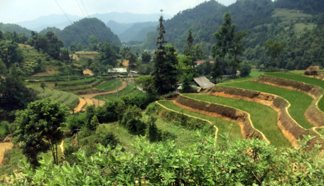 Families grow rice on small plots of land in the mountains far from markets