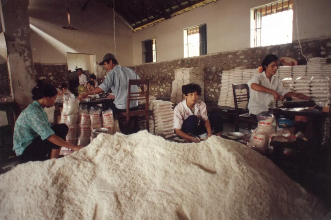 Following a 1994 national survey revealing widespread goitre and low iodine levels in children, UNICEF supported the Government of Viet Nam in scaling up a national programme, with salt iodization as the core strategy.