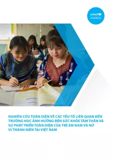 Nghi&ecirc;n cứu to&agrave;n diện về c&aacute;c yếu tố li&ecirc;n quan đến trường học ảnh hưởng đến sức khỏe t&acirc;m thần v&agrave; sự ph&aacute;t triển to&agrave;n diện của trẻ em nam v&agrave; nữ vị th&agrave;nh ni&ecirc;n tại Việt Nam