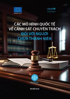 C&aacute;c m&ocirc; h&igrave;nh cảnh s&aacute;t chuy&ecirc;n tr&aacute;ch đối với người chưa th&agrave;nh ni&ecirc;n