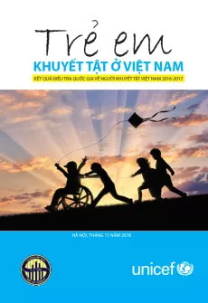 children with disabilities survey findings vn