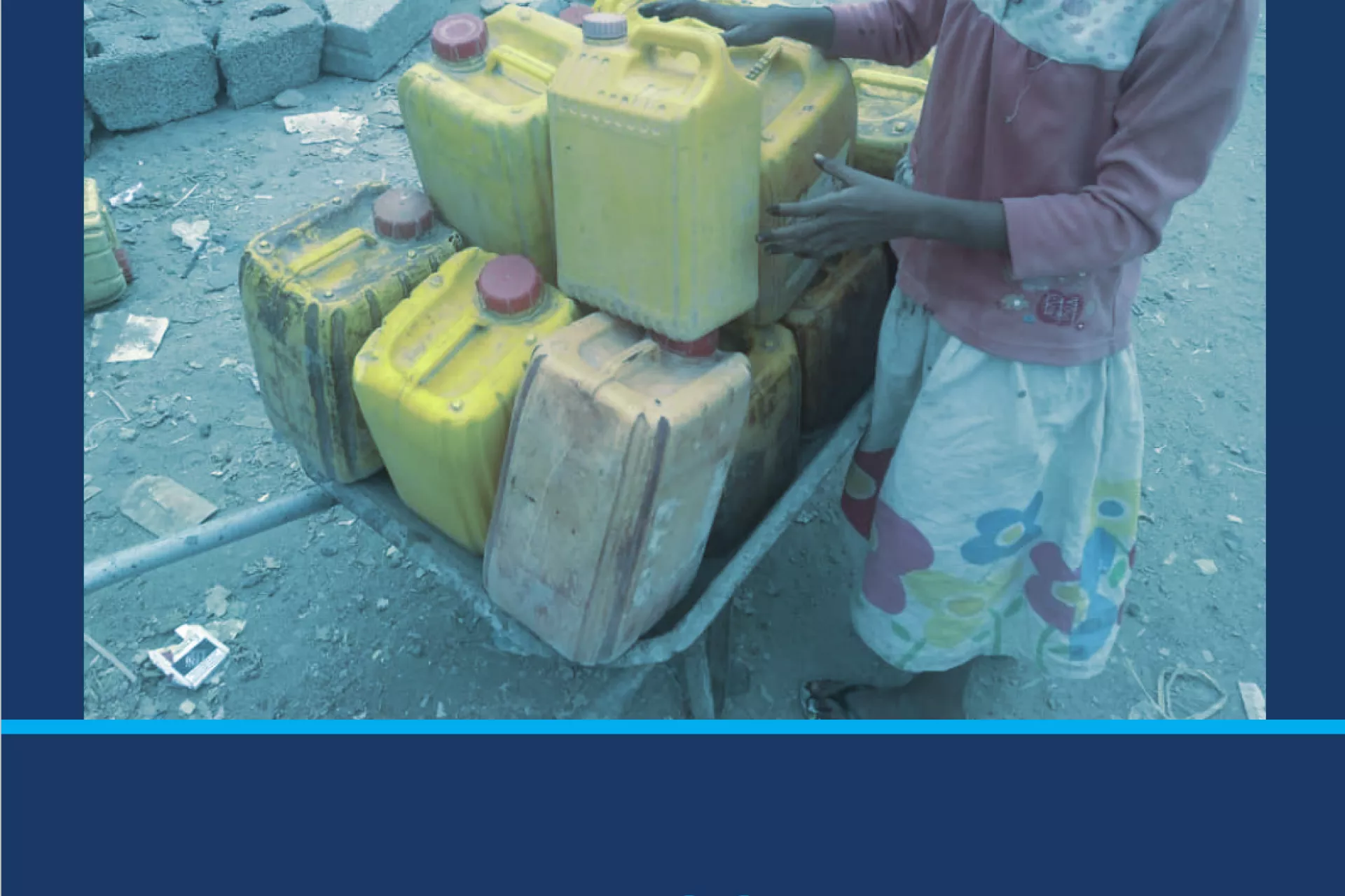 Vulnerability Need Assessment for Aden