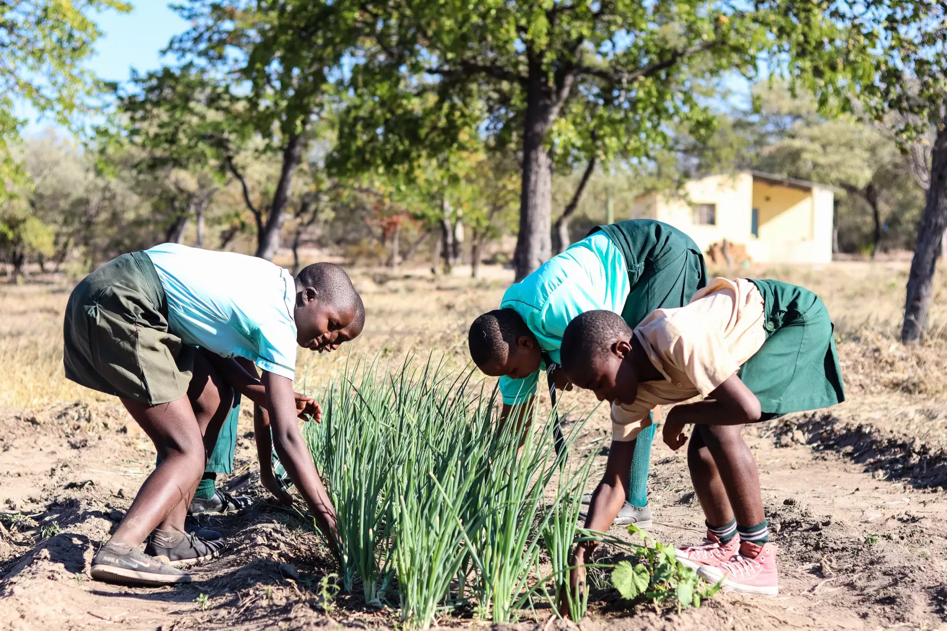 Children gardening