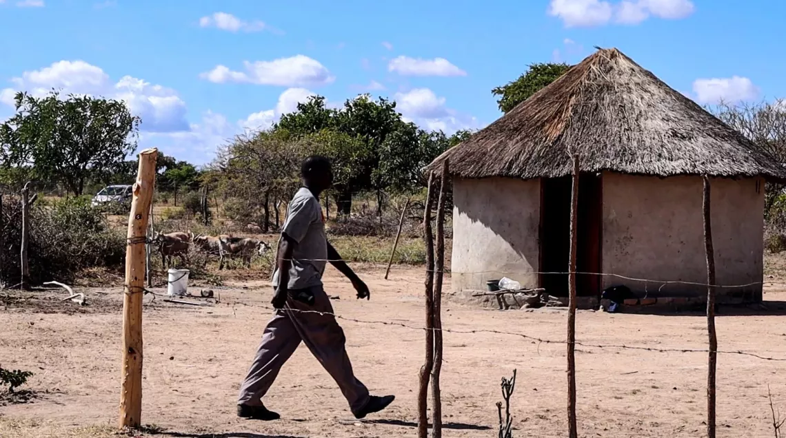 Social cash transfer